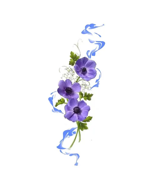 Flower, Nature, Rose