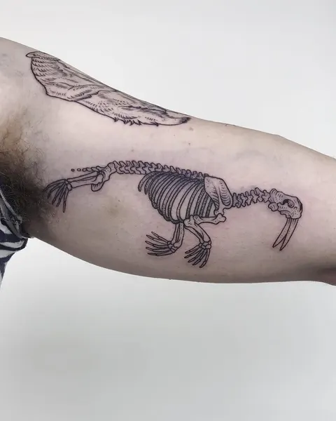 Animal, Tiger