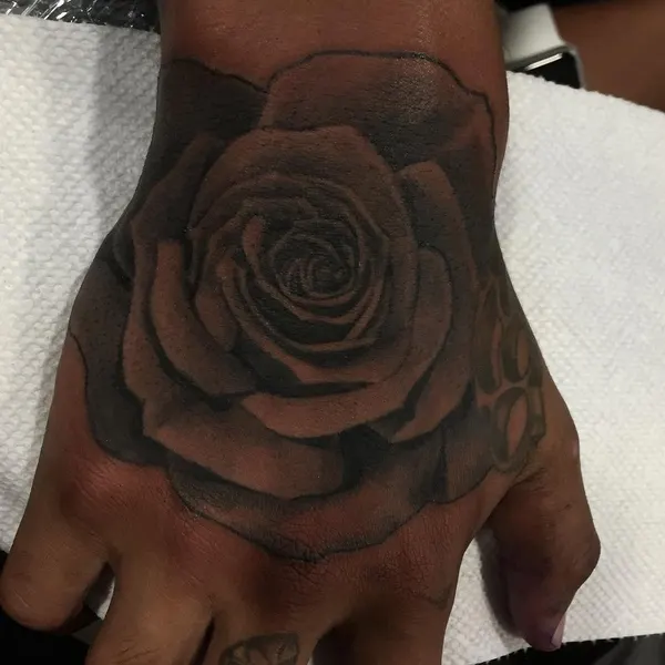 Rose, Flower