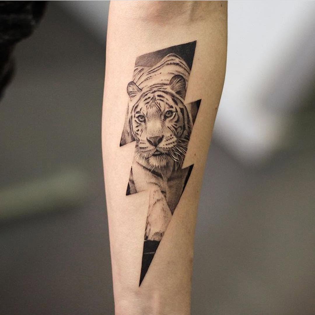 Tiger, 한국 호랑이, 중국 호랑이