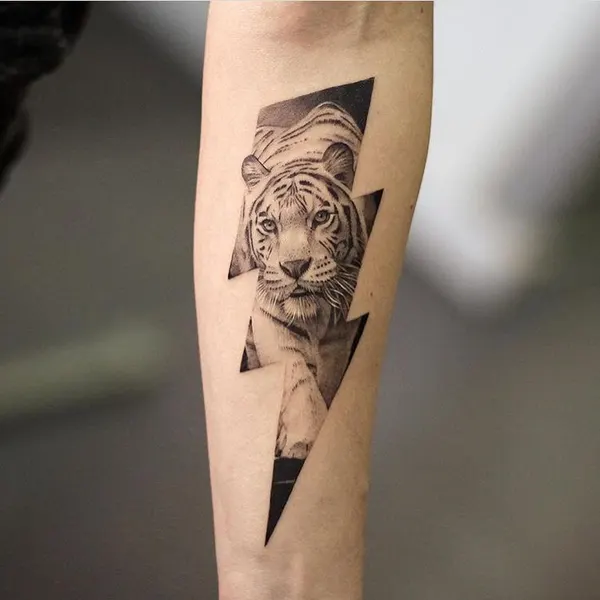 Tiger, 한국 호랑이, 중국 호랑이