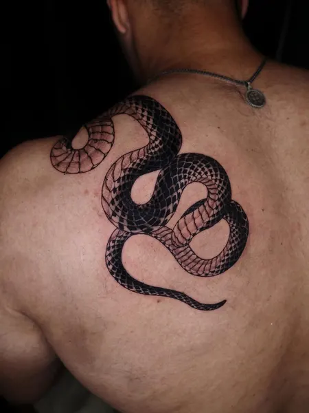 Snake, 전갈