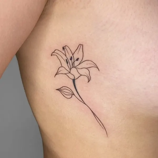 Flower, 백합, 난초, 튤립