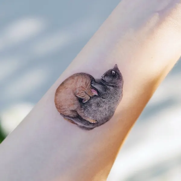 쥐, 펭귄, 다람쥐, 코알라, 고슴도치, 나무늘보, 조개껍데기, 버섯, Animal