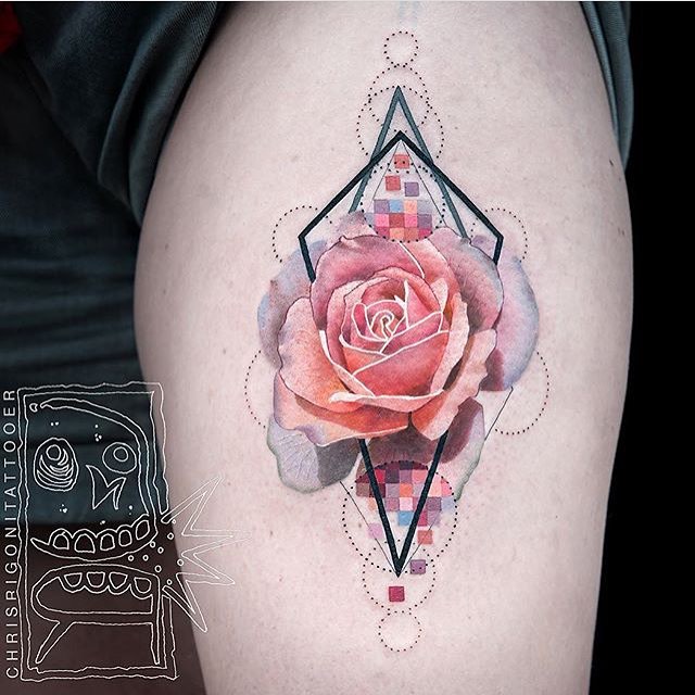 Rose, Nature, Flower