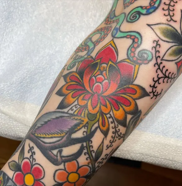 Animal, Nature, Flower, Rose