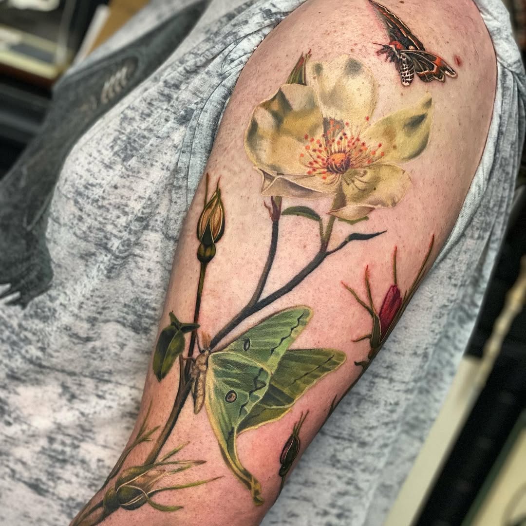 Flower, Animal, Nature, Rose