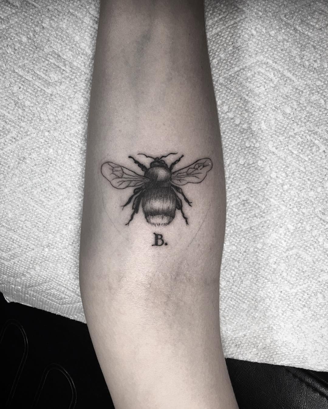 Animal, 벌