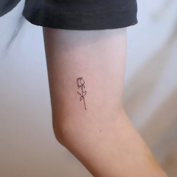 Lettering, 데이지, Flower