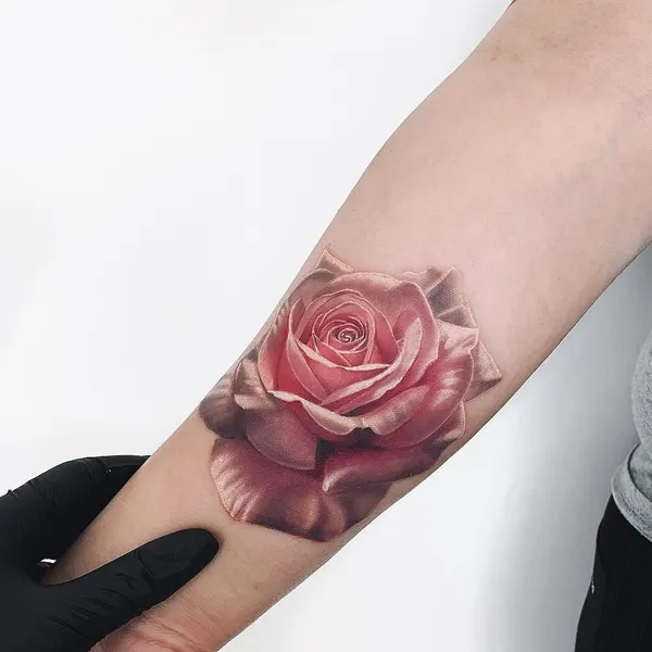 Flower, Rose