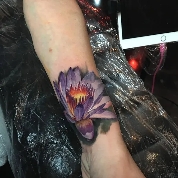 Flower, Rose, 난초, 튤립, 수선화, 아이리스, 국화, 백합, 탄생화