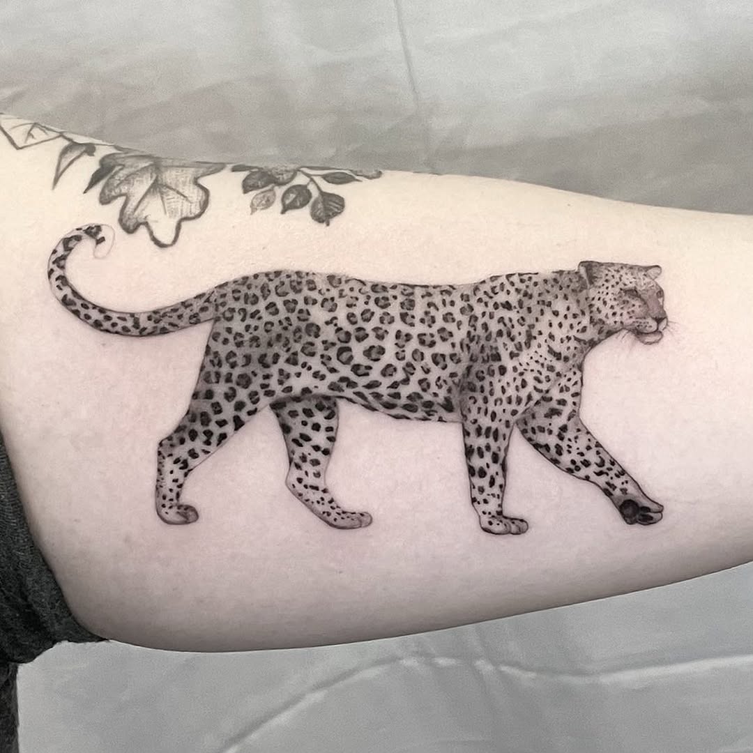 Animal, Tiger, 치타, 팬서, 표범, 재규어