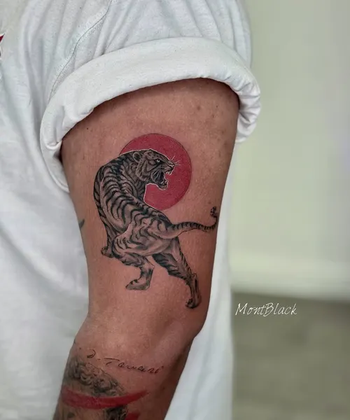 Tiger
