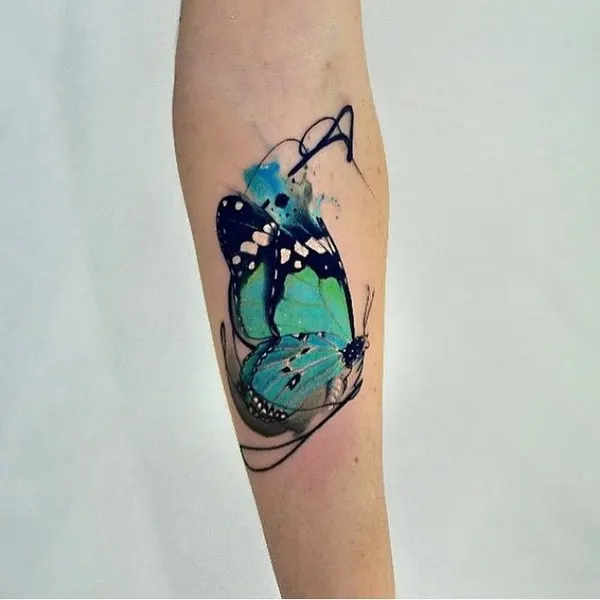 Animal, Nature, 매미, 딱정벌레, 무당벌레, 오징어