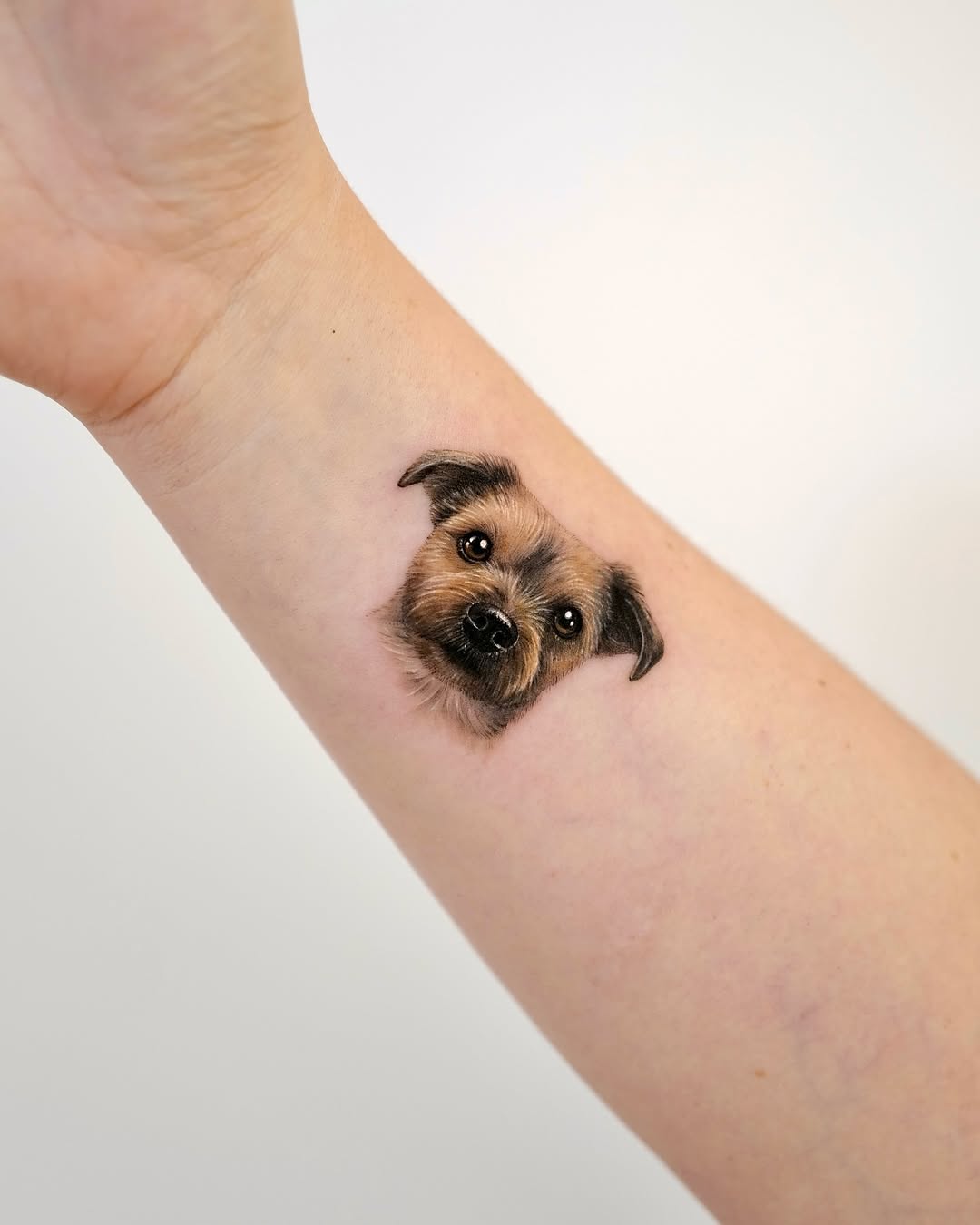 paw.tattoo