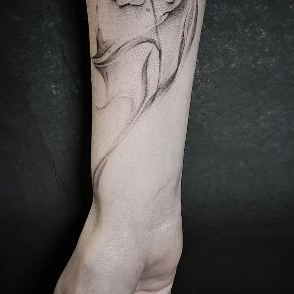 Flower, Rose