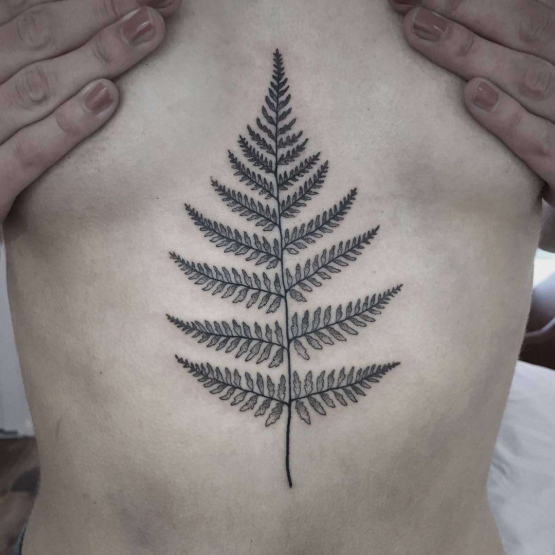 잎, Flower, 고사리, 단풍잎, 소나무, 은행잎
