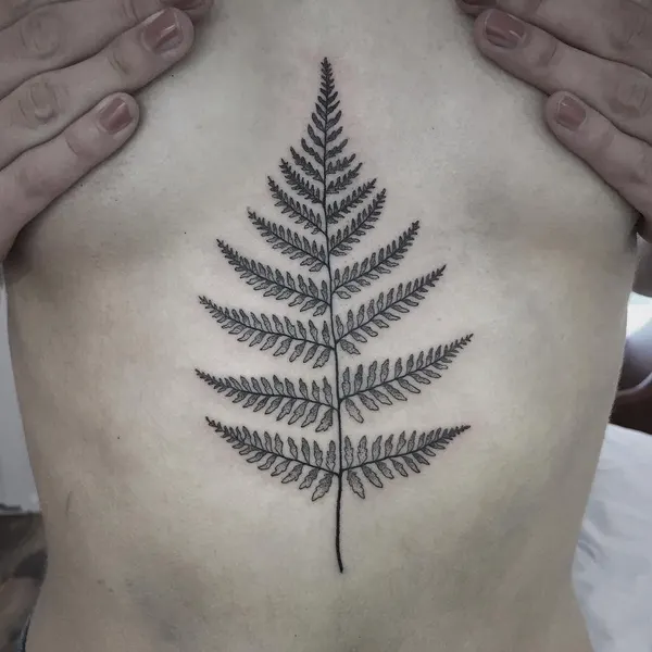 잎, Flower, 고사리, 단풍잎, 소나무, 은행잎