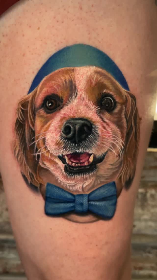 Animal