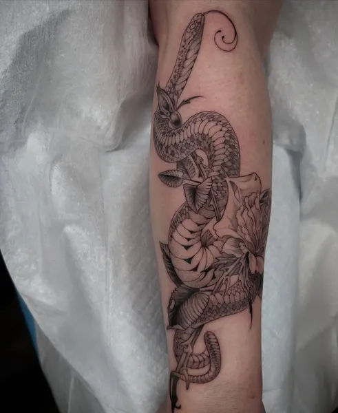 띠, Dragon