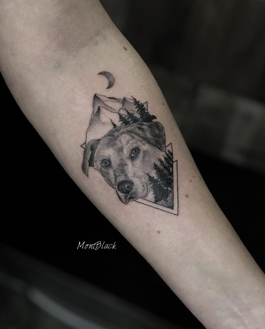 Animal, 늑대, 충성, 멧돼지, 반려동물 추모