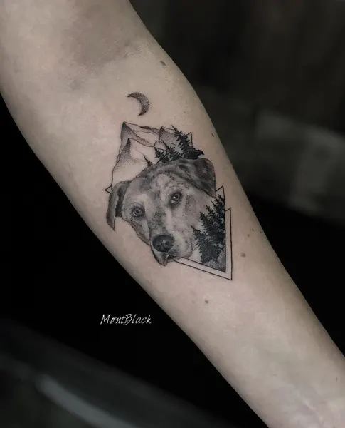 Animal, 늑대, 충성, 멧돼지, 반려동물 추모
