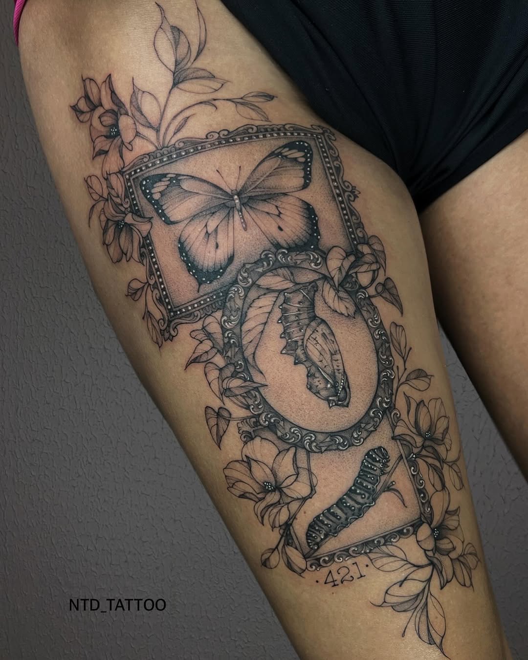 Animal, Nature
