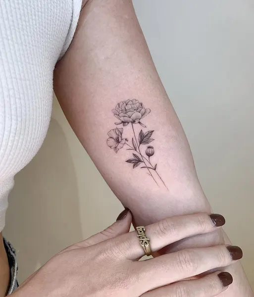 Flower, Rose