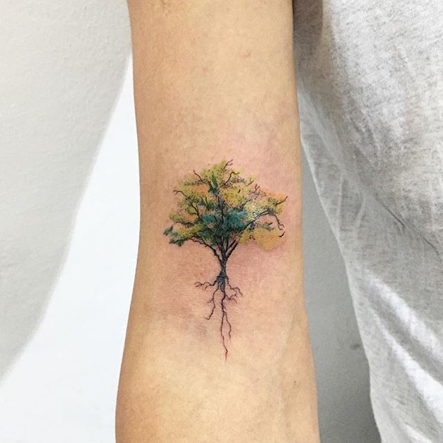 폐, Nature, 뿌리, 산호, 숲, 풀, 나무, 덩굴, 민들레, 소나무, 야생화, 야자수, 나뭇가지, 카네이션, 올리브 가지