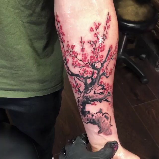매화, Nature, 벚꽃, 일본 단풍