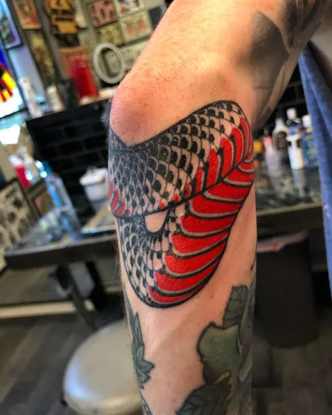 Dragon, 거북이, Snake