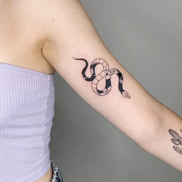 Dragon, 전갈자리, 염소자리, Snake