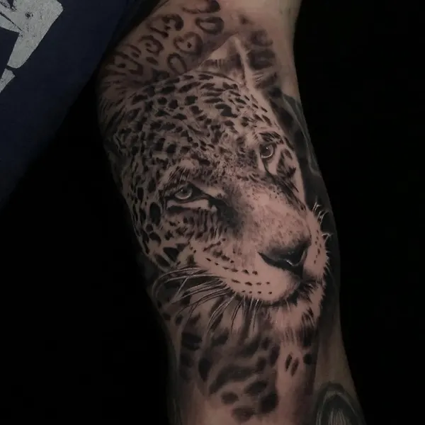 Animal, 치타, 표범, 재규어, 팬서