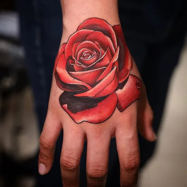 Flower, Rose