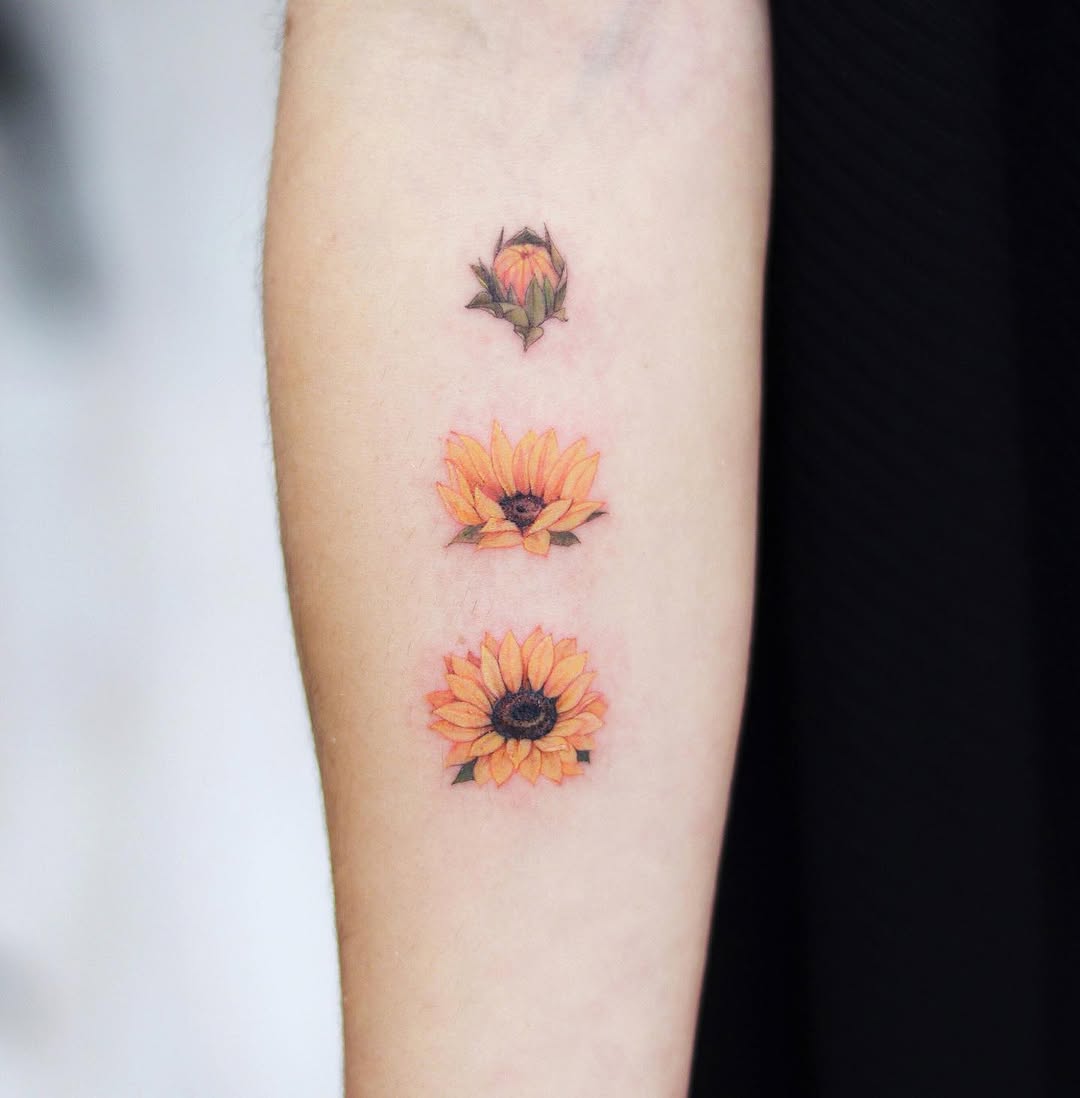 Flower, 국화, 데이지, 해바라기