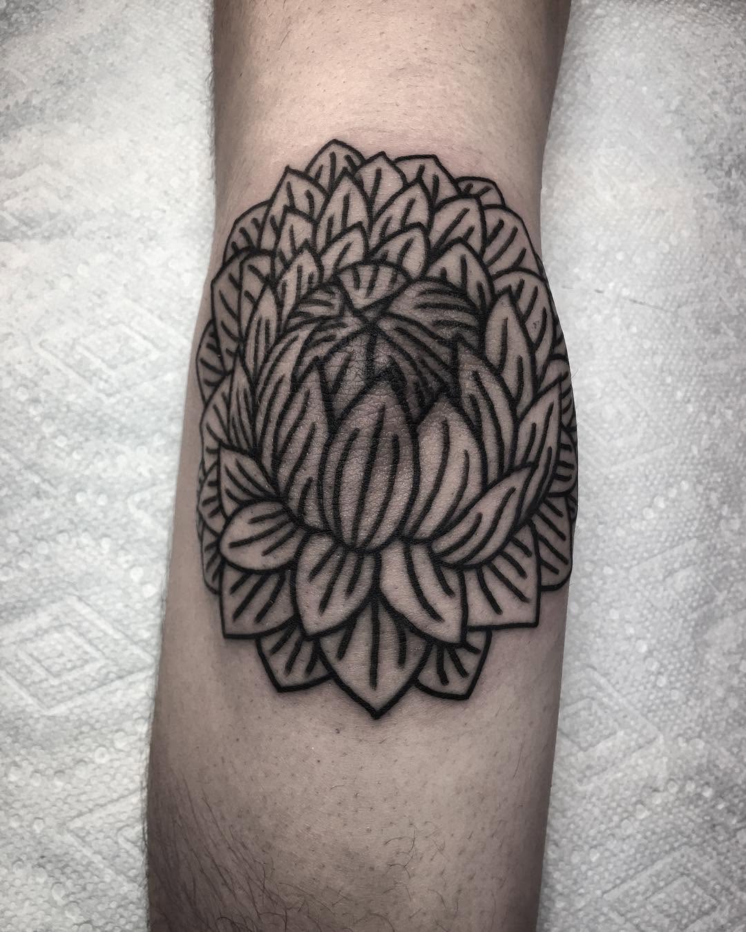 Flower, Rose, 목련