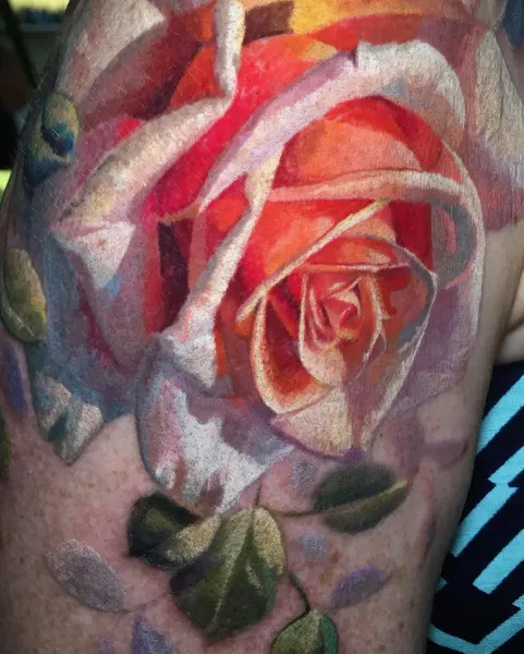 Rose, Nature, Flower
