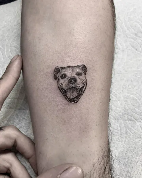 곰