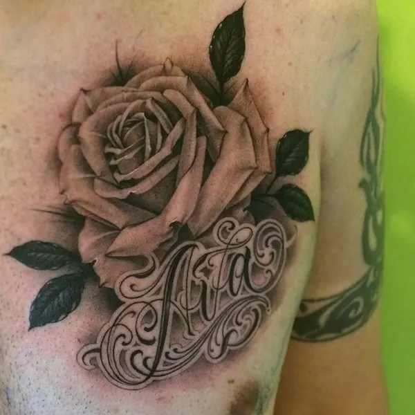 Flower, Rose, Nature