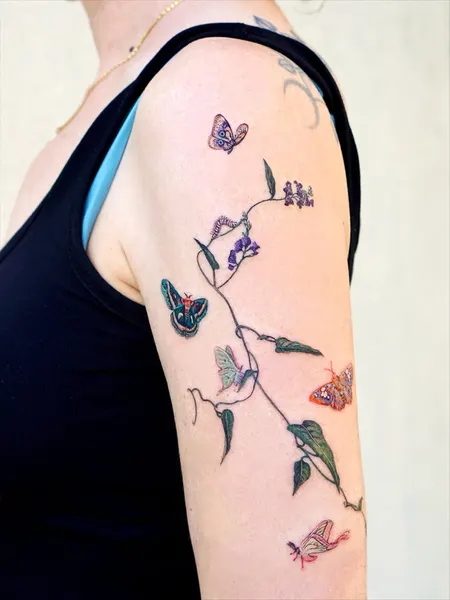 Flower, Animal, Rose, Nature