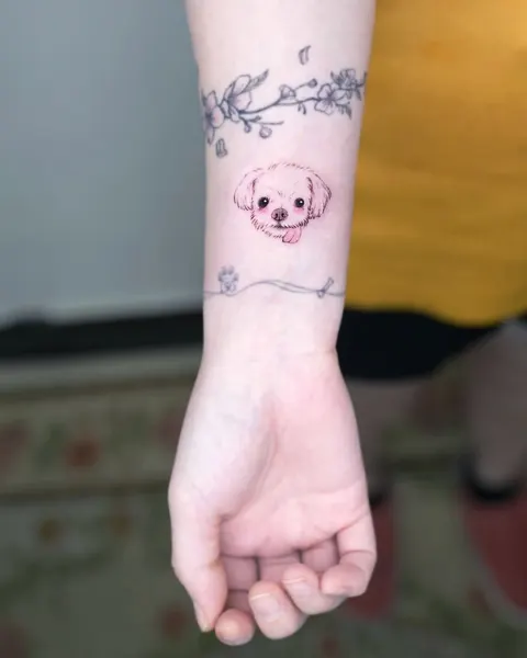 Animal