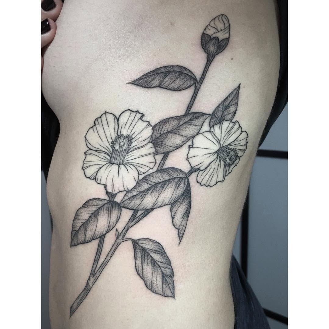 Flower, Rose, Nature