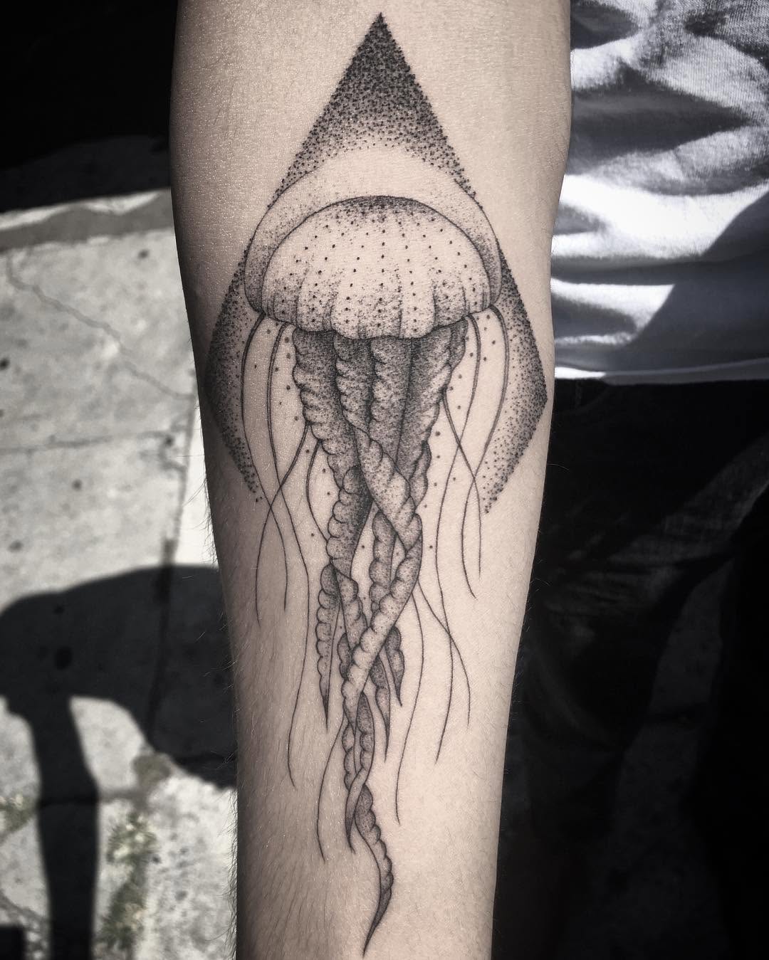 Nature, 오징어, 해파리