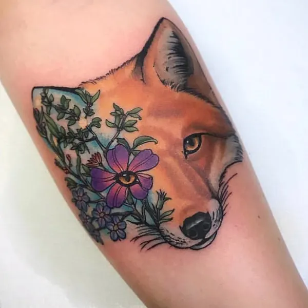 Animal, 여우