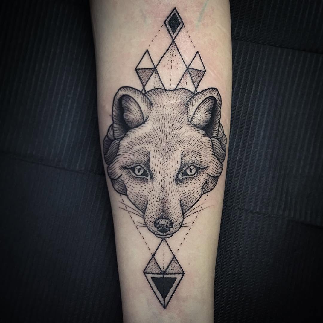 Animal, 여우, 너구리