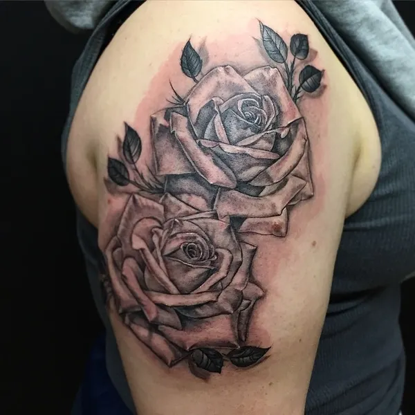 Flower, Rose, Nature