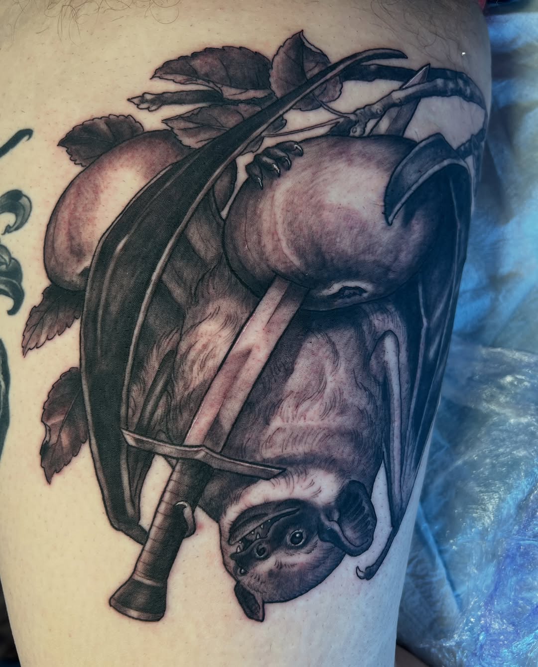 shawn_hebrank