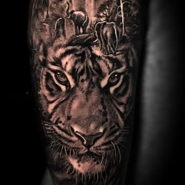 Tiger