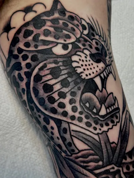 Tiger, 표범, 재규어
