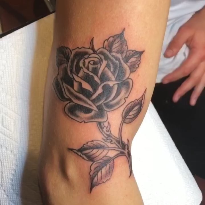 Flower, Rose